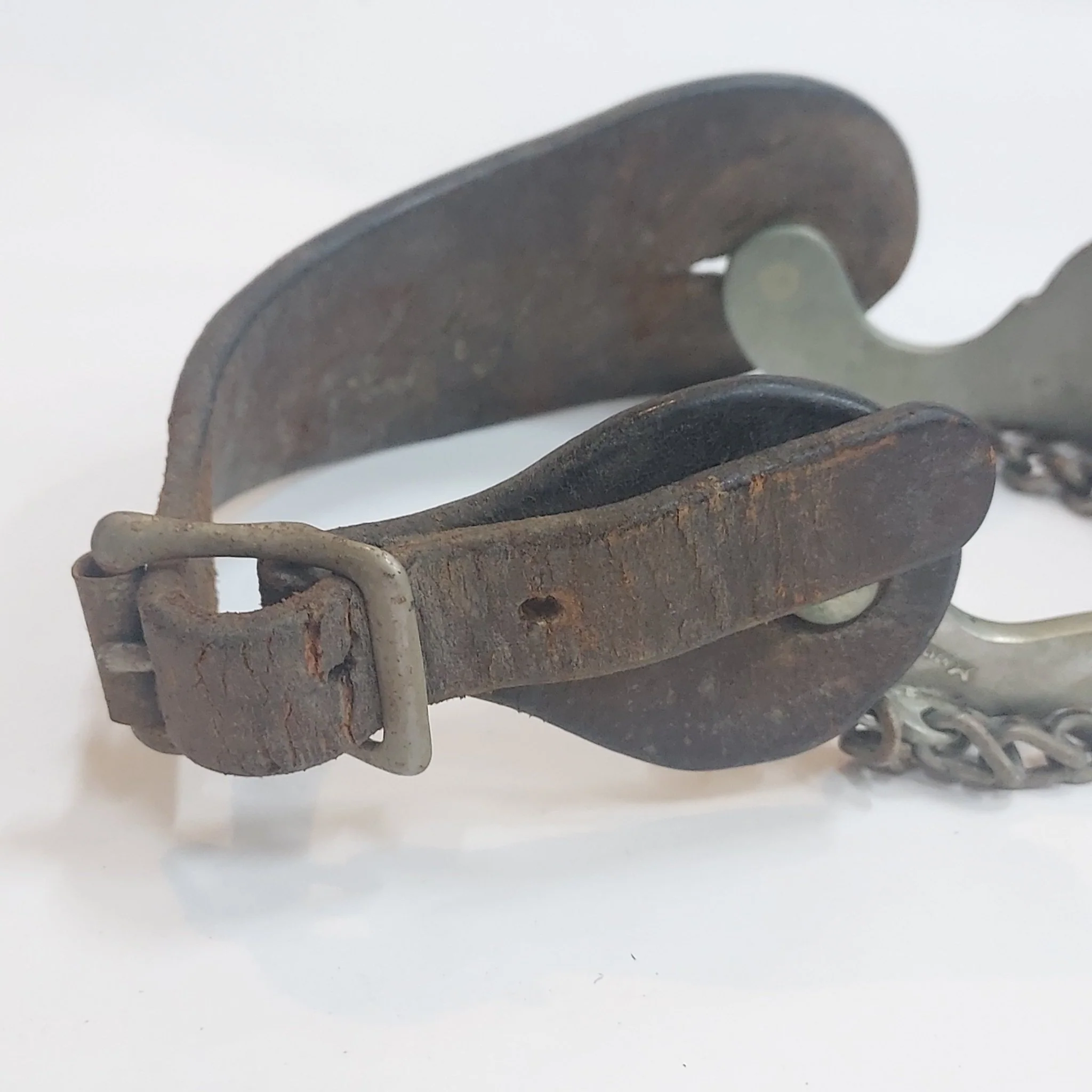 Star Steel Silver Spur - Image 8